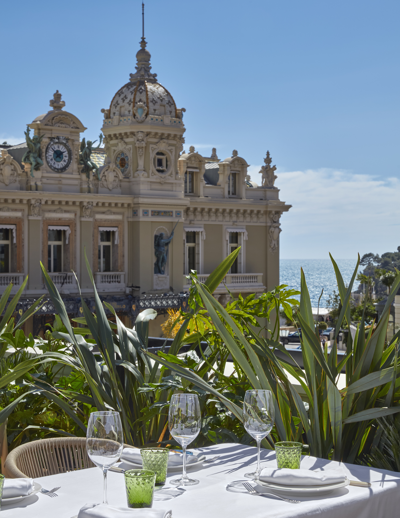 imagen 6 de Amazónico se instala en Montecarlo.