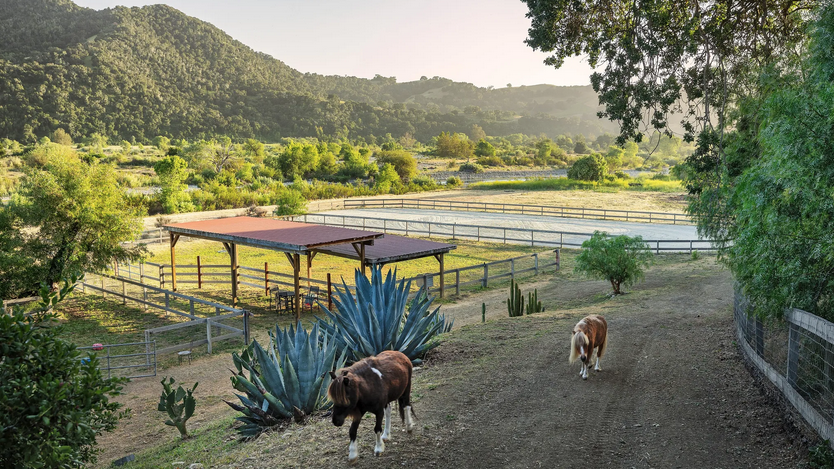 imagen 30 de Se vende la que fuera la casa (y el rancho) de Olivia Newton John.