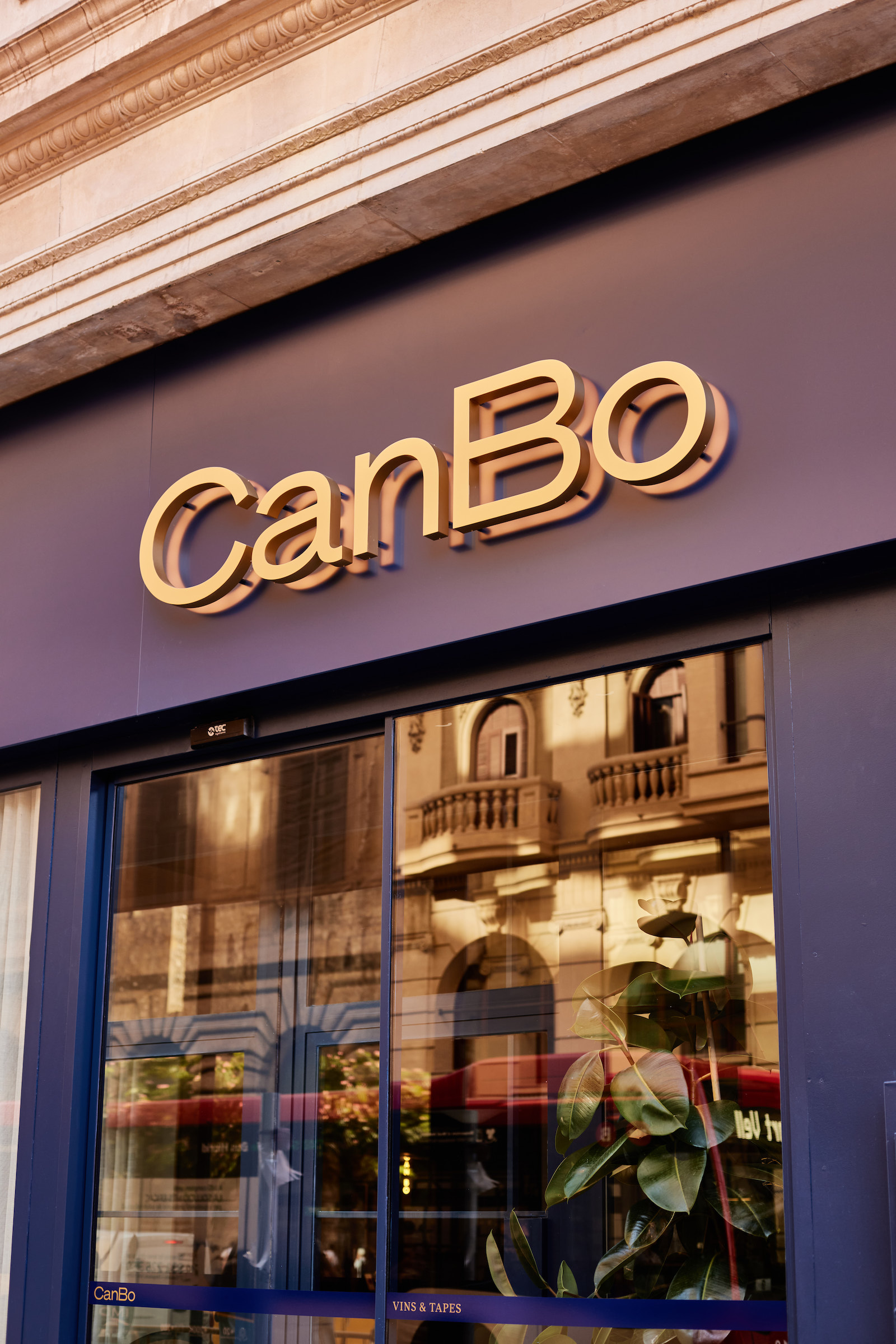 imagen 16 de Can Bo, un nuevo restaurante de tapas y platillos en Barcelona.