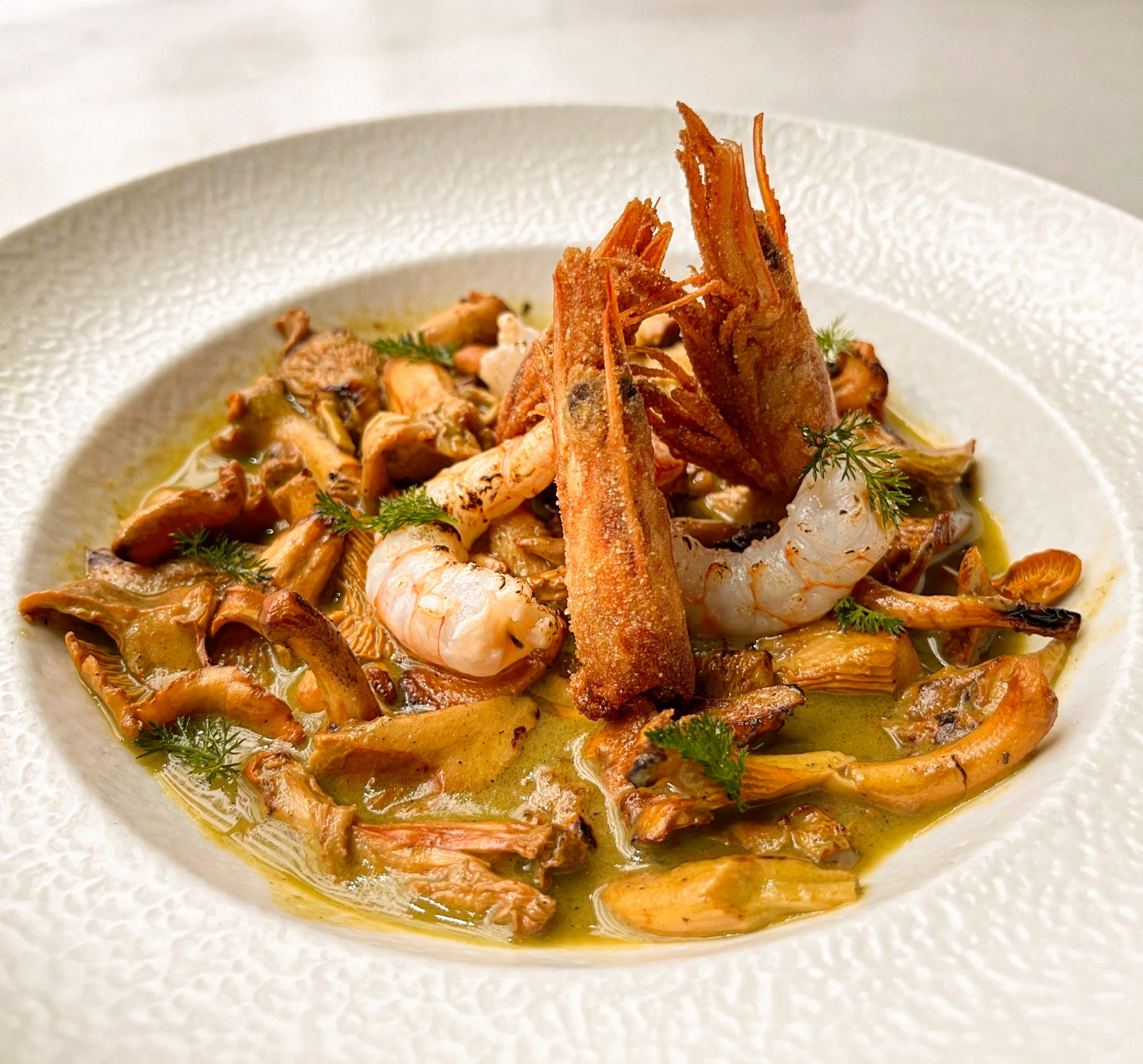 imagen 1 de Casa Mortero y las setas.