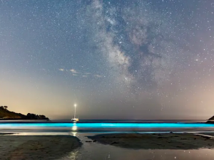 Dónde y cuándo disfrutar de las perseidas este verano.